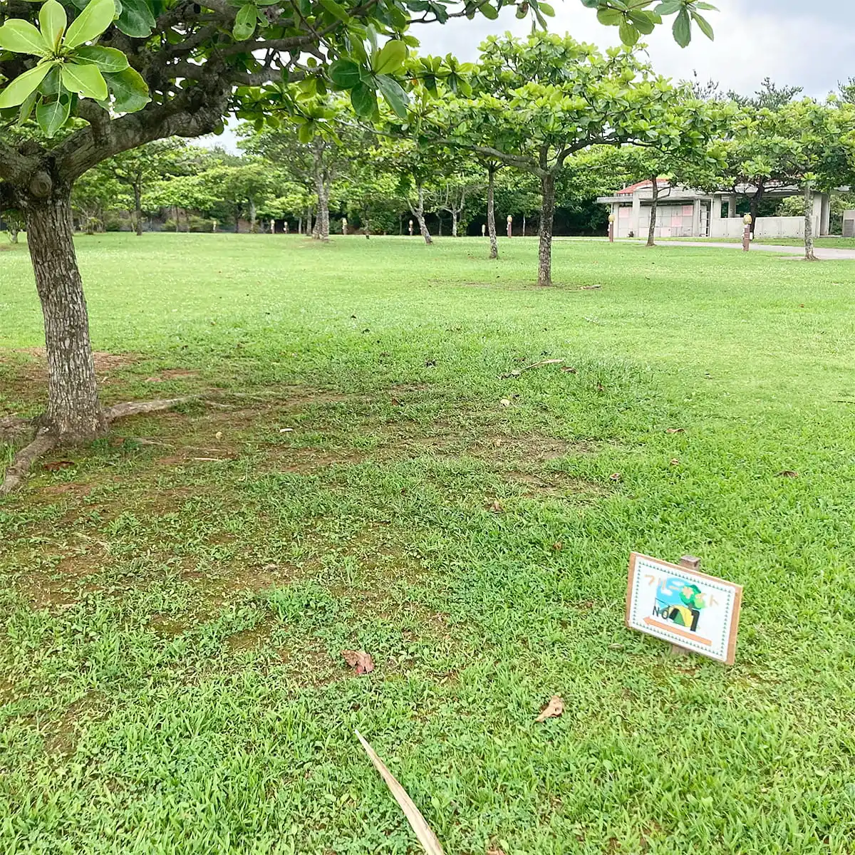 キャンプ場のご案内 つつじエコパーク