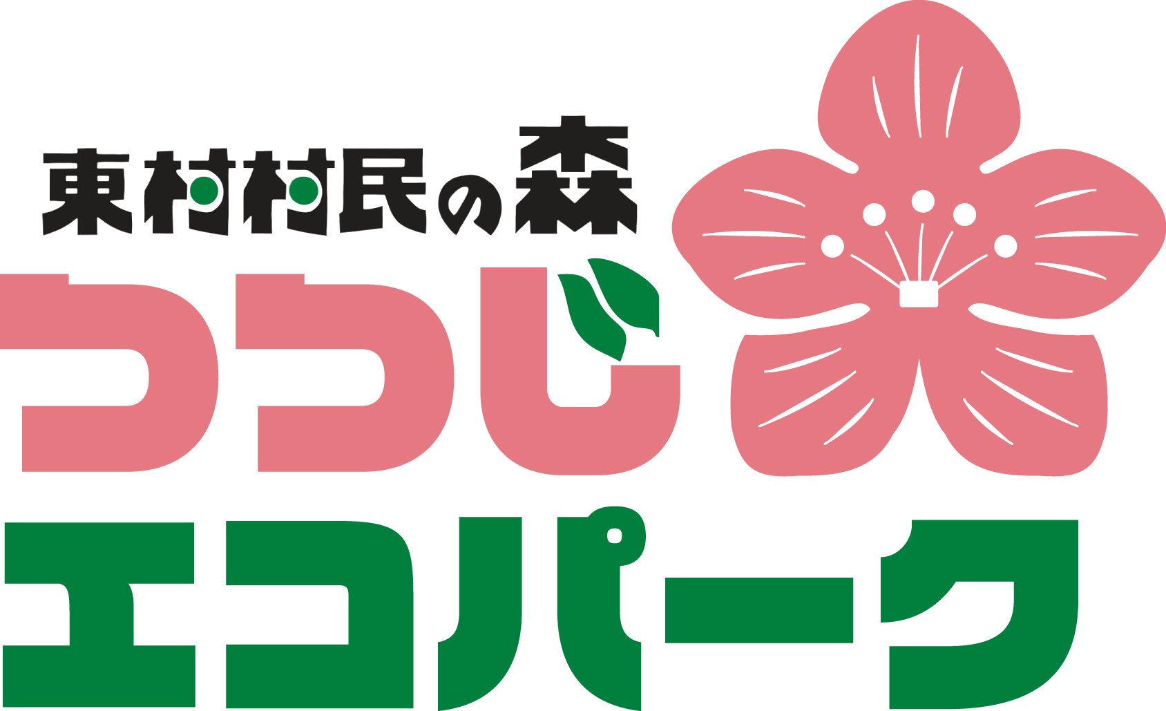 沖縄でキャンプや宿泊 自然体験ならつつじエコパーク