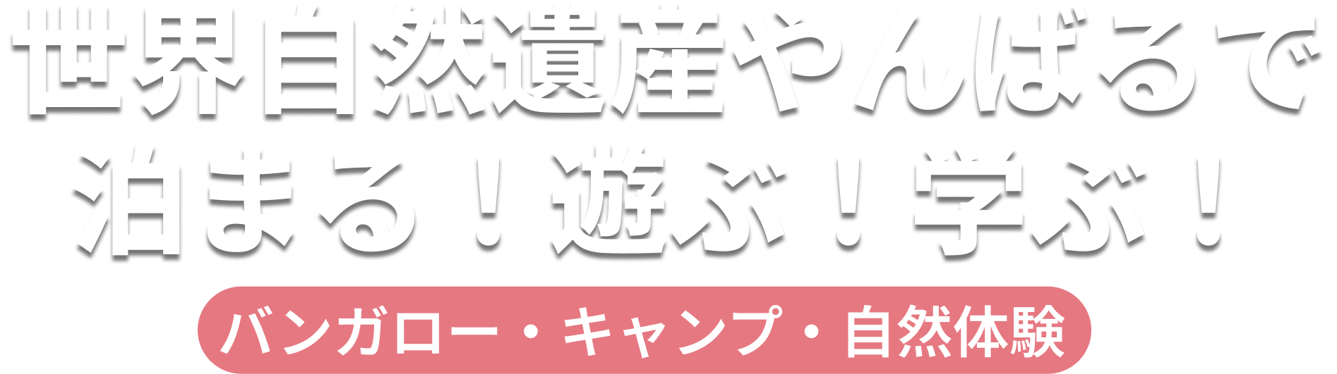 沖縄・やんばるで泊まる！遊ぶ！学ぶ！ バンガロー・キャンプ・自然体験