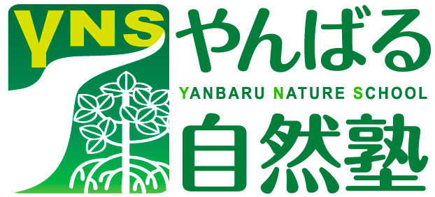VNS やんばる自然塾